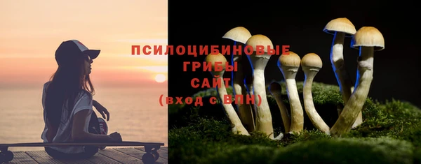 эйфоретик Бронницы
