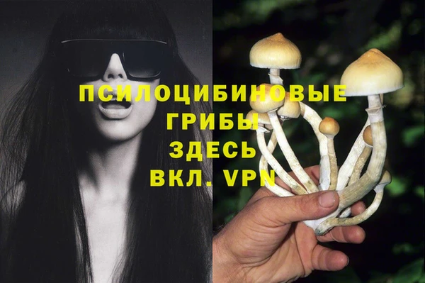 эйфоретик Бронницы