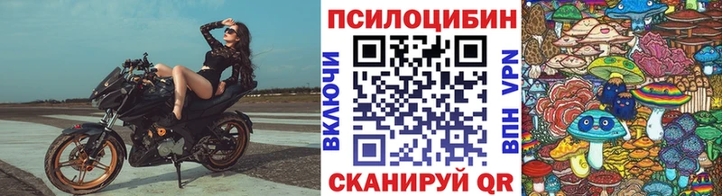 Галлюциногенные грибы мицелий  hydra зеркало  Кирсанов 