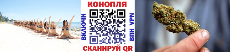 Бошки марихуана THC 21%  наркота  Кирсанов 